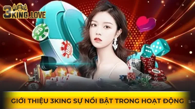 Giới thiệu 3KING sự nổi bật trong hoạt động