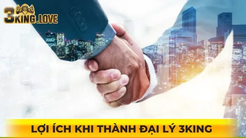 3 lợi ích nhận được khi thành đại lý 3KING
